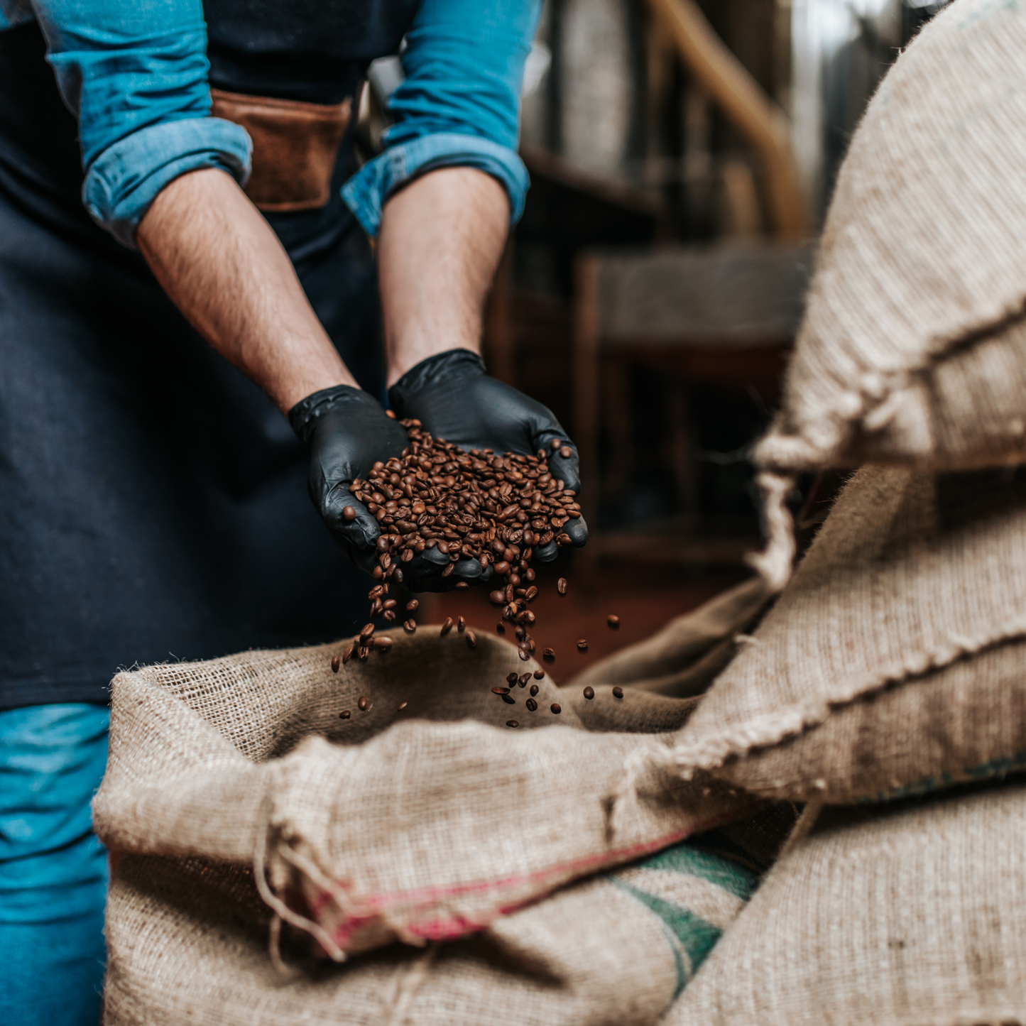 Beans & Grapes Kaffeeröster-Seminar in Bonn
